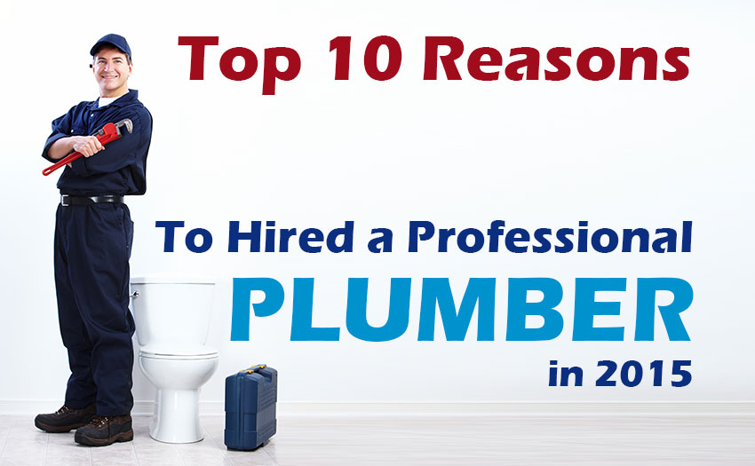 The 3 Best Types Of Plungers | SWAN Plumbing, Heating & Air Of Denver