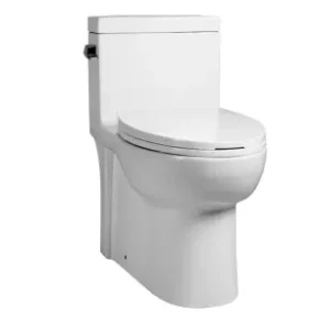 One-Piece (Complete) Toilets